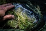 Sonik_S1_Landing_Net_5