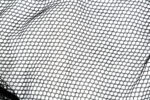 Nytro_Landing Net_Main