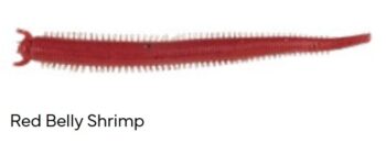 10sm/12pcs GULP! SALTWATER FAT SANDWORM RED BELLY SHRIMP