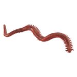 Webp.net-resizeimage-21